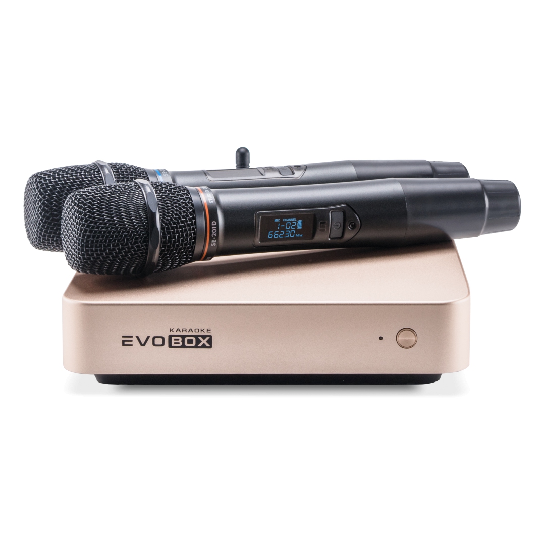 EVOBOX Classic караоке-система для дома в Оренбургской области