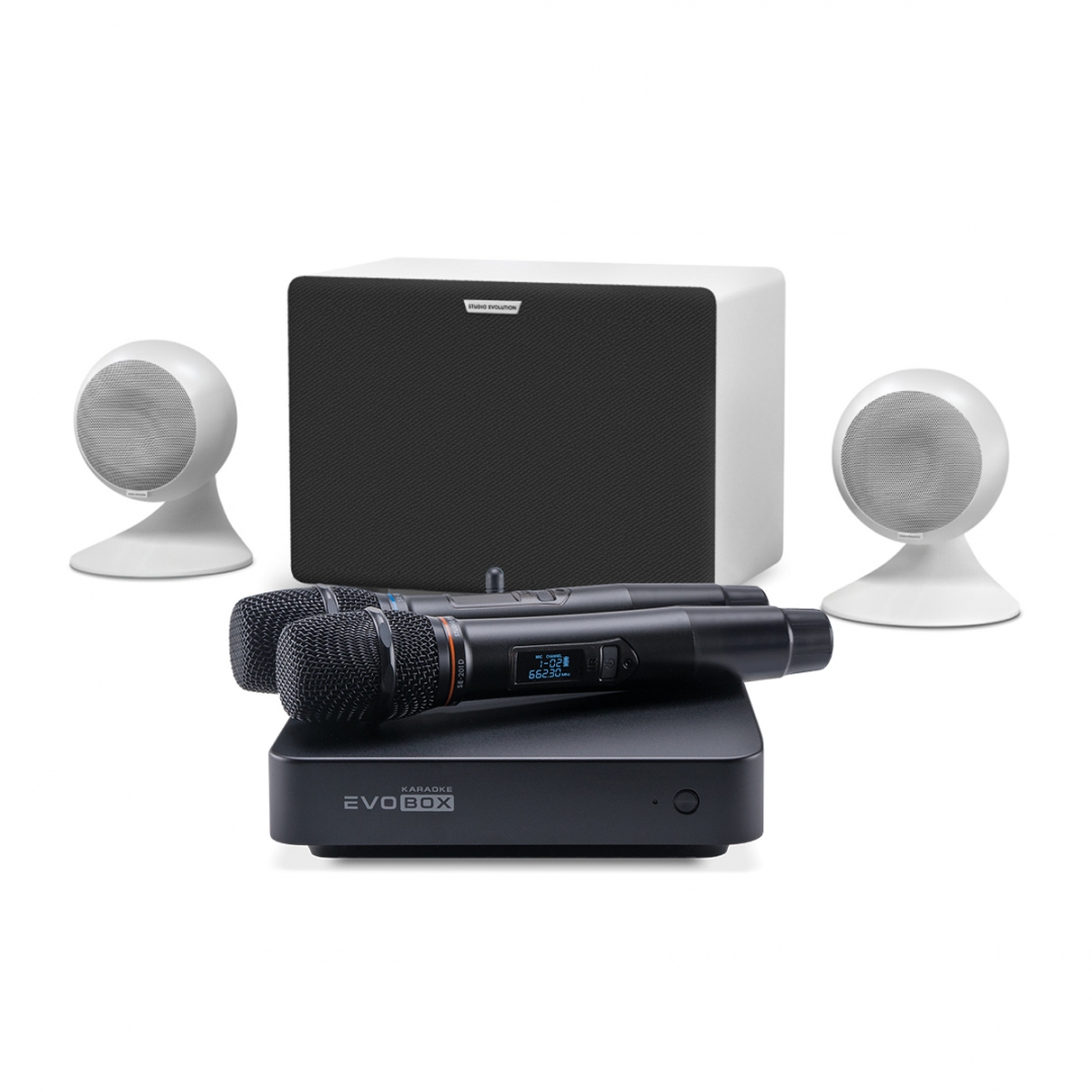 караоке-комплект EVOBOX Classic + EvoSound Sphere 2.1 в Оренбургской области